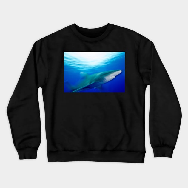 Oceanic White Tip Shark in Motion Crewneck Sweatshirt by jbbarnes